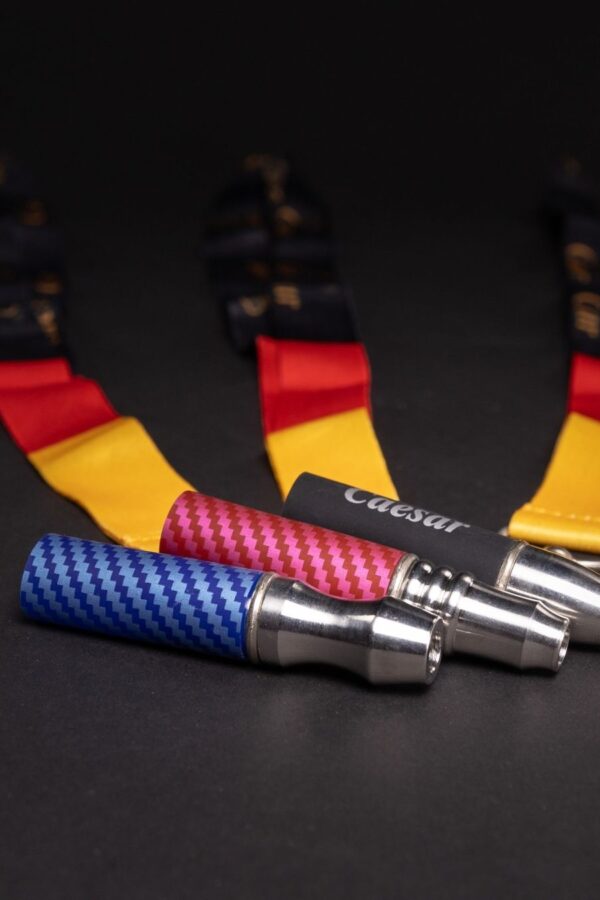 פיות נירוסטה