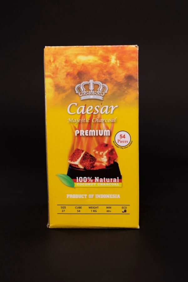 פחם טבעי - Beige 54